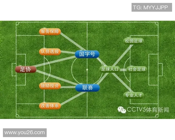 足球盛世再启：全球联赛改革与青训体系的未来发展探索
